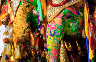 COLORES DE INDIA - precio final garantizado -