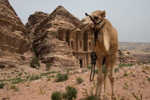 LAWRENCE DE ARABIA - hasta Octubre 2018