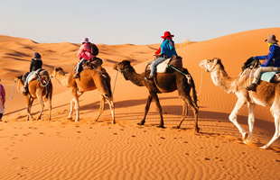 DUNAS Y ESTRELLAS