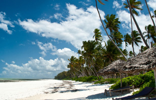 ESENCIAS DE KENYA Y ZANZIBAR. Hasta Diciembre 2017