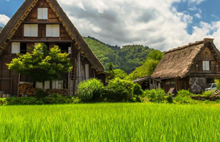 JAPÓN de ensueño