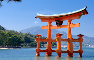 JAPÓN EN LIBERTAD