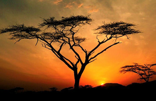 KENYA AL COMPLETO - Hasta el 12 de Diciembre 2019
