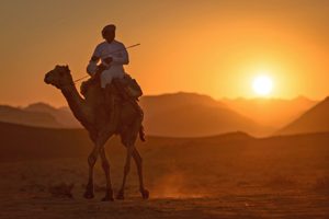 LAWRENCE DE ARABIA - DESDE MADRID