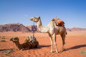MARAVILLAS DE JORDANIA Y WADI RUM