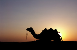 EGIPTO ESENCIAL