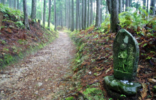 CAMINO DE KUMANO